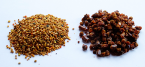 Перга и пыльца