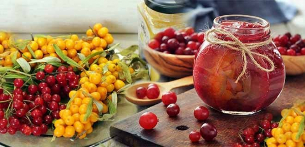 Калина с медом: рецепт, от чего помогает, польза и вред