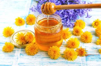 Мед из одуванчиков